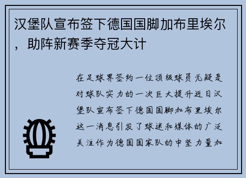 汉堡队宣布签下德国国脚加布里埃尔，助阵新赛季夺冠大计